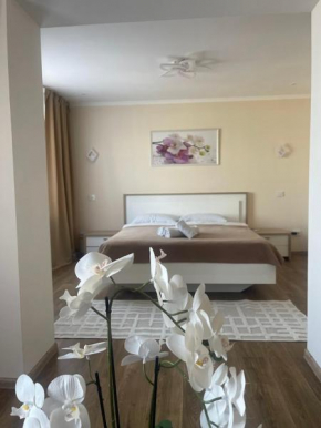 Hotel Elegia